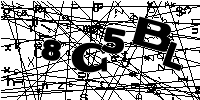 Random captcha image